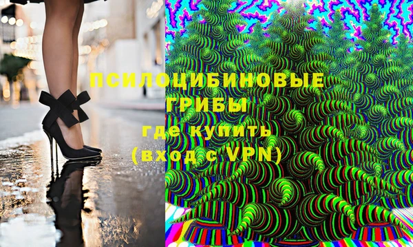 дмт Арсеньев