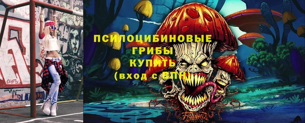 дмт Арсеньев