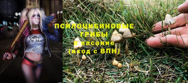 дмт Арсеньев