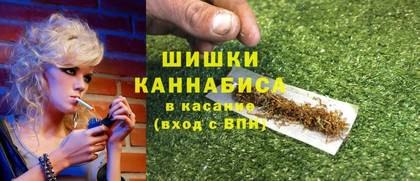 дмт Арсеньев