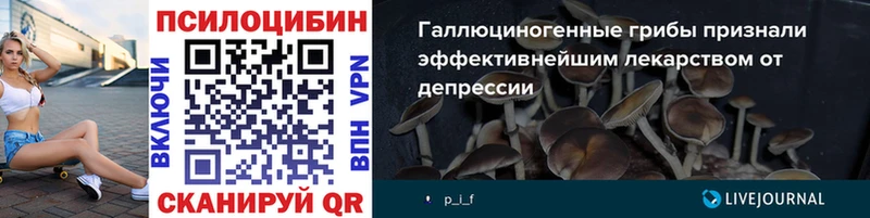 Купить закладки  Сатка  Галлюциногенные грибы мицелий 